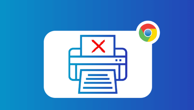 谷歌浏览器插件是否支持快捷键控制功能